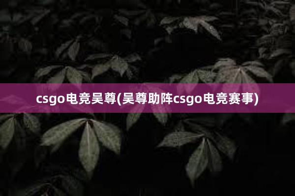 csgo电竞吴尊(吴尊助阵csgo电竞赛事)