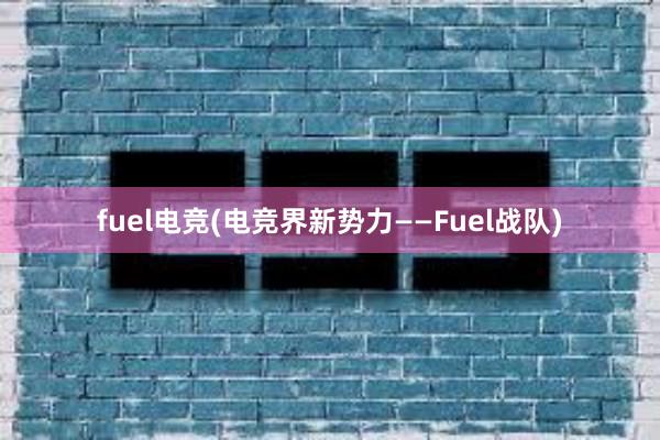 fuel电竞(电竞界新势力——Fuel战队)