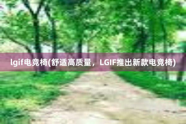 lgif电竞椅(舒适高质量，LGIF推出新款电竞椅)