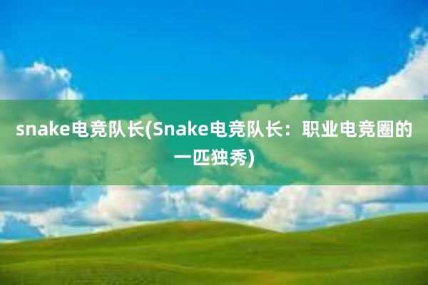 snake电竞队长(Snake电竞队长：职业电竞圈的一匹独秀)