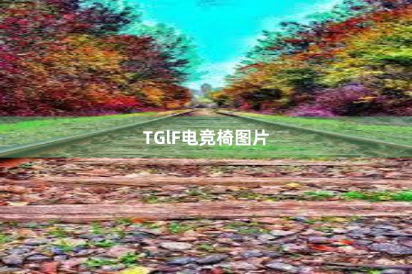 TGlF电竞椅图片