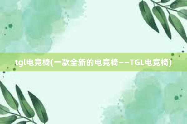 tgl电竞椅(一款全新的电竞椅——TGL电竞椅)