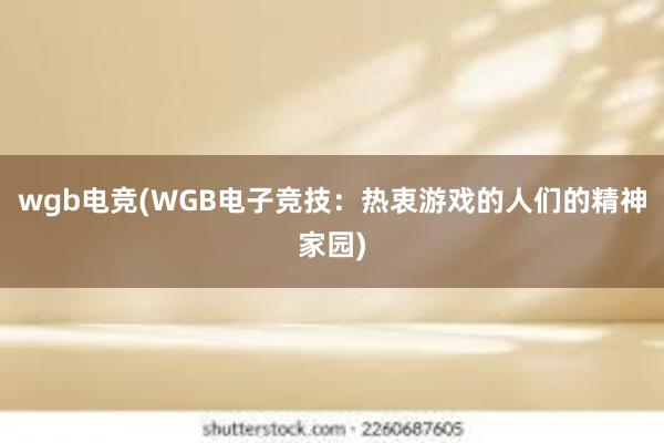 wgb电竞(WGB电子竞技：热衷游戏的人们的精神家园)