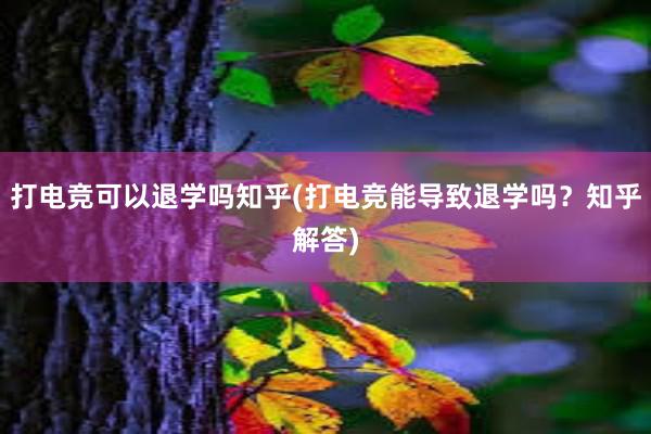 打电竞可以退学吗知乎(打电竞能导致退学吗？知乎解答)