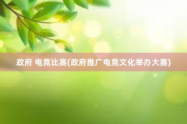 政府 电竞比赛(政府推广电竞文化举办大赛)