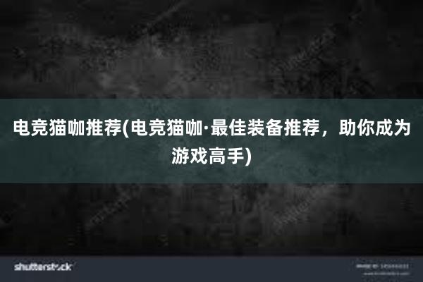 电竞猫咖推荐(电竞猫咖·最佳装备推荐，助你成为游戏高手)