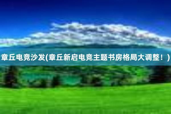 章丘电竞沙发(章丘新启电竞主题书房格局大调整！)