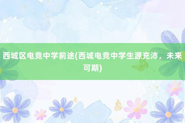 西城区电竞中学前途(西城电竞中学生源充沛，未来可期)