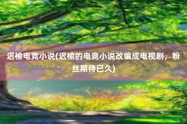 迟榆电竞小说(迟榆的电竞小说改编成电视剧，粉丝期待已久)