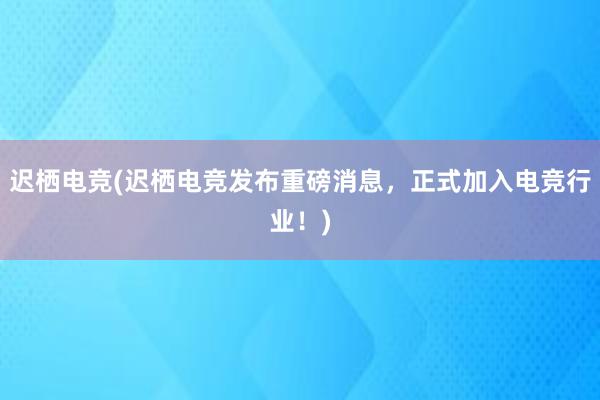 迟栖电竞(迟栖电竞发布重磅消息，正式加入电竞行业！)