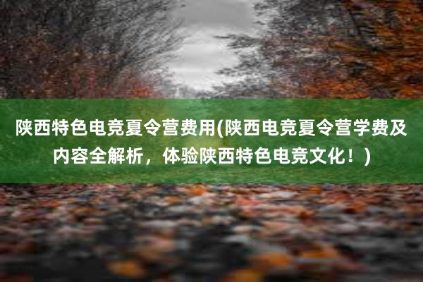 陕西特色电竞夏令营费用(陕西电竞夏令营学费及内容全解析，体验陕西特色电竞文化！)