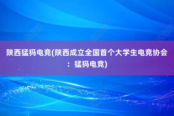 陕西猛犸电竞(陕西成立全国首个大学生电竞协会：猛犸电竞)