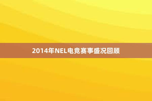 2014年NEL电竞赛事盛况回顾