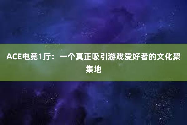 ACE电竞1厅：一个真正吸引游戏爱好者的文化聚集地