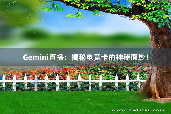 Gemini直播：揭秘电竞卡的神秘面纱！