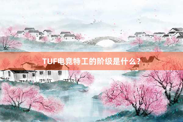 TUF电竞特工的阶级是什么？