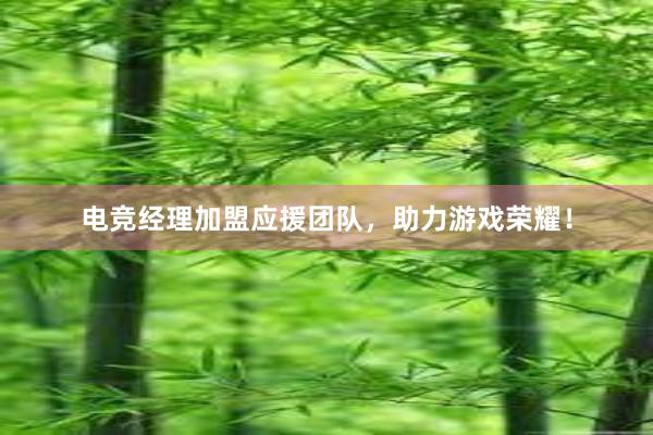 电竞经理加盟应援团队，助力游戏荣耀！