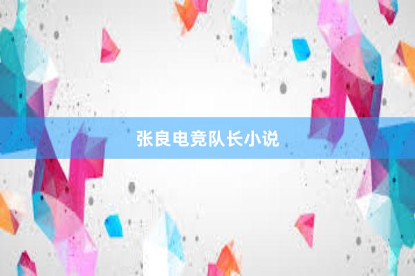 张良电竞队长小说