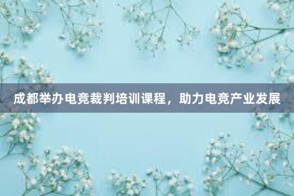 成都举办电竞裁判培训课程，助力电竞产业发展