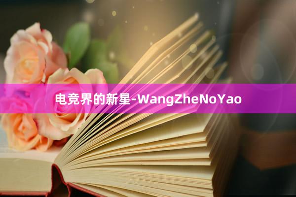 电竞界的新星-WangZheNoYao