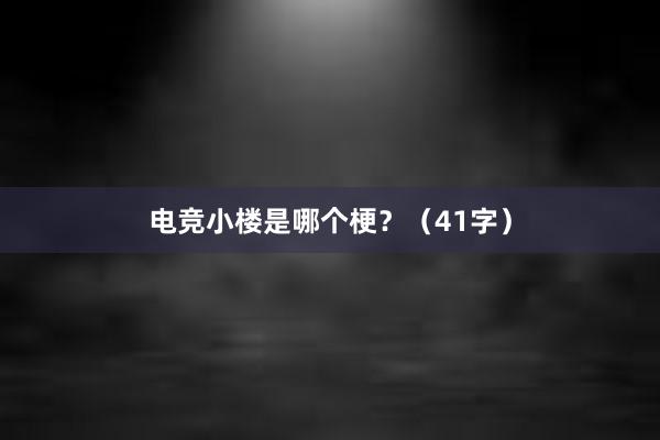 电竞小楼是哪个梗？（41字）