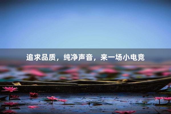 追求品质，纯净声音，来一场小电竞