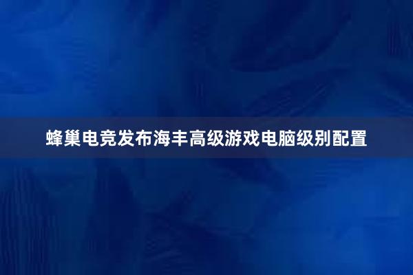 蜂巢电竞发布海丰高级游戏电脑级别配置