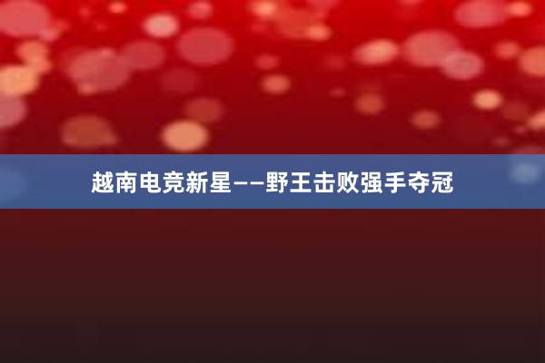 越南电竞新星——野王击败强手夺冠